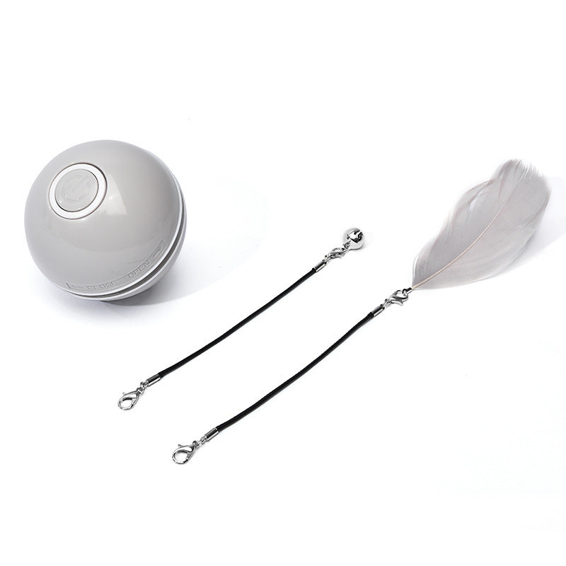 Pet Toy Rechargeable LED Ball