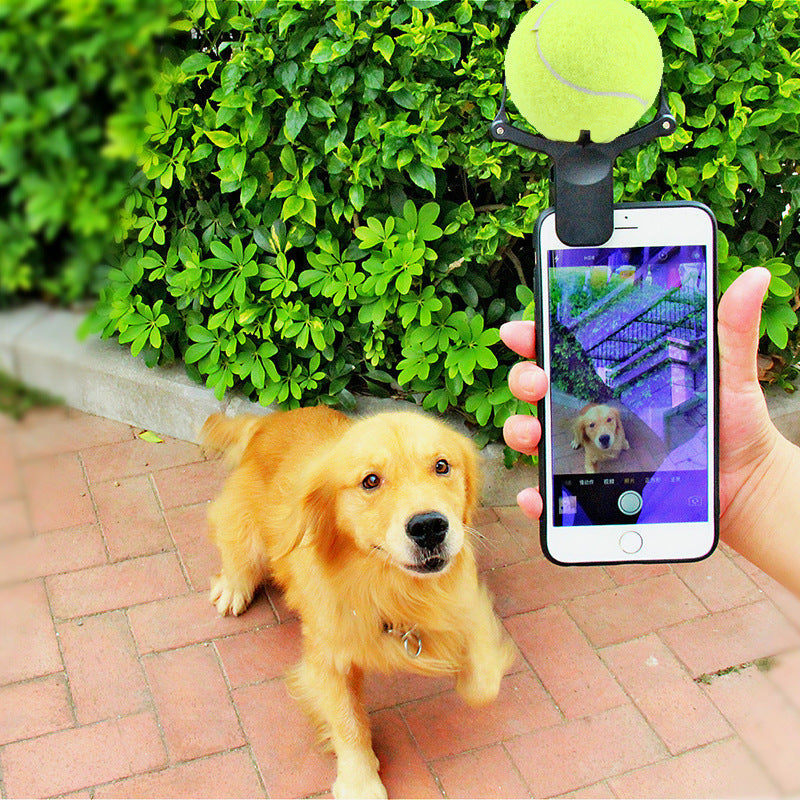 Pet Photography Prop