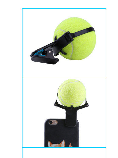 Pet Photography Prop