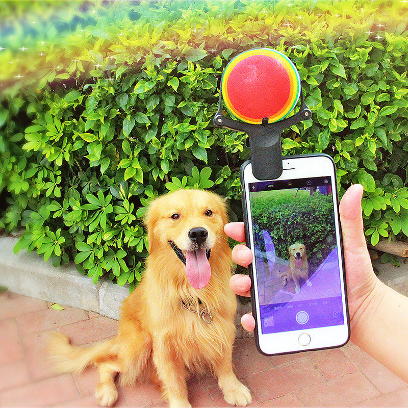 Pet Photography Prop