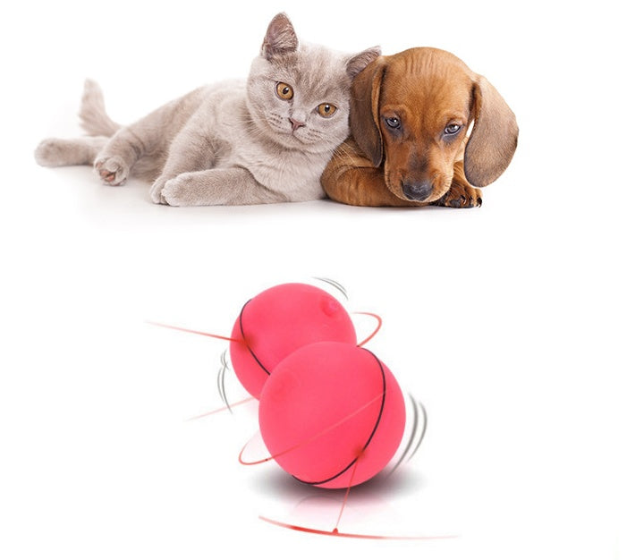 Pet Toy Rechargeable LED Ball