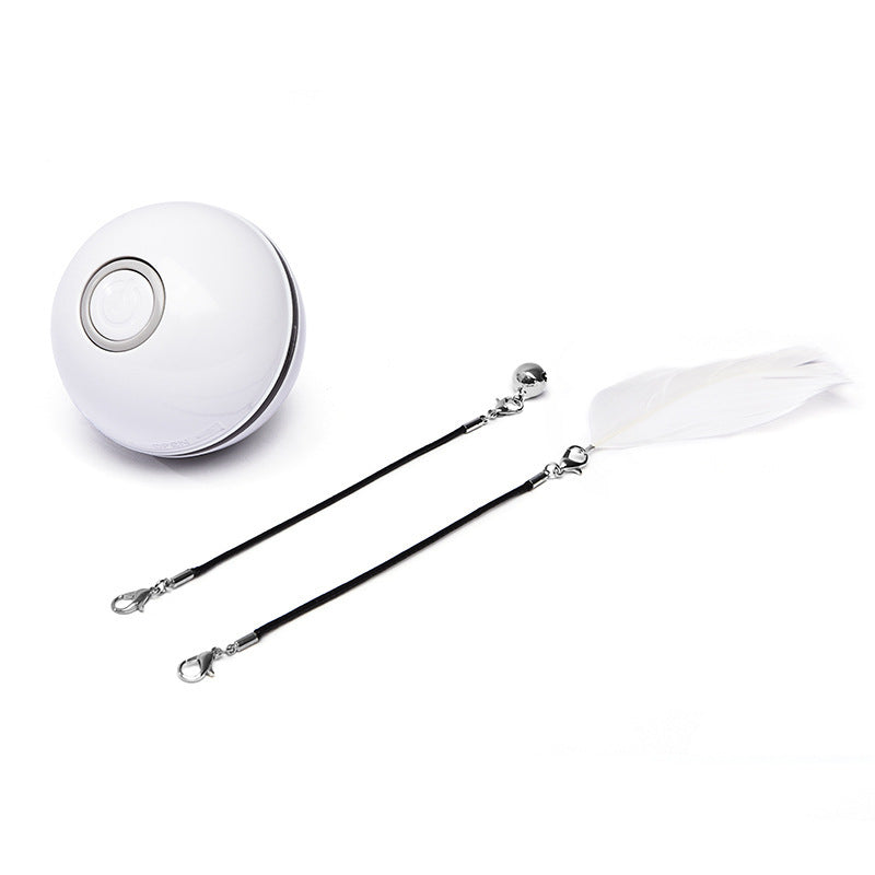 Pet Toy Rechargeable LED Ball