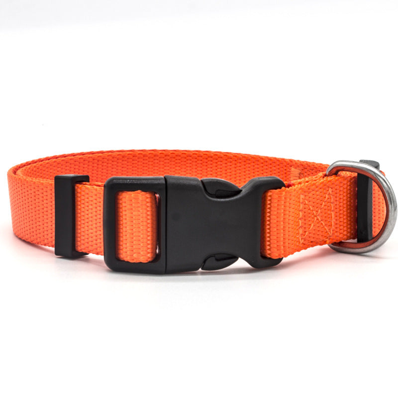 Adjustable Pet Collar