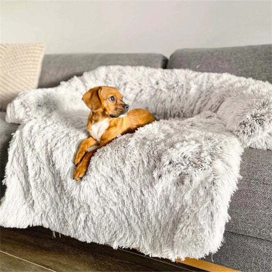 Furry Pet Bet