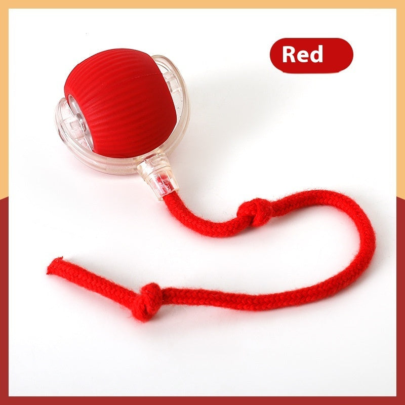 Interactive Rolling Pet Toy Ball