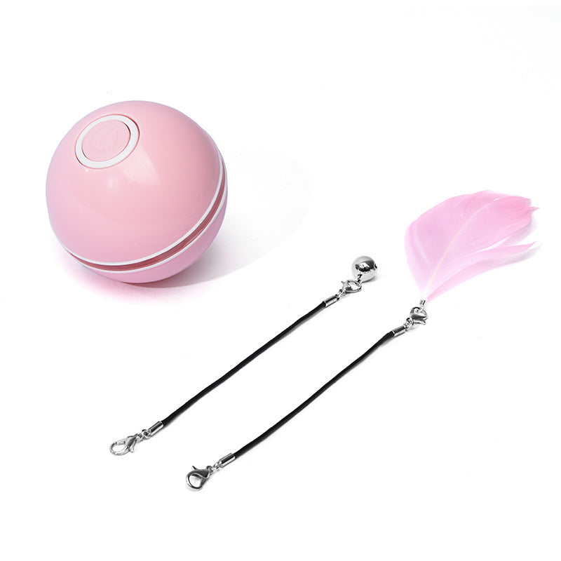 Pet Toy Rechargeable LED Ball