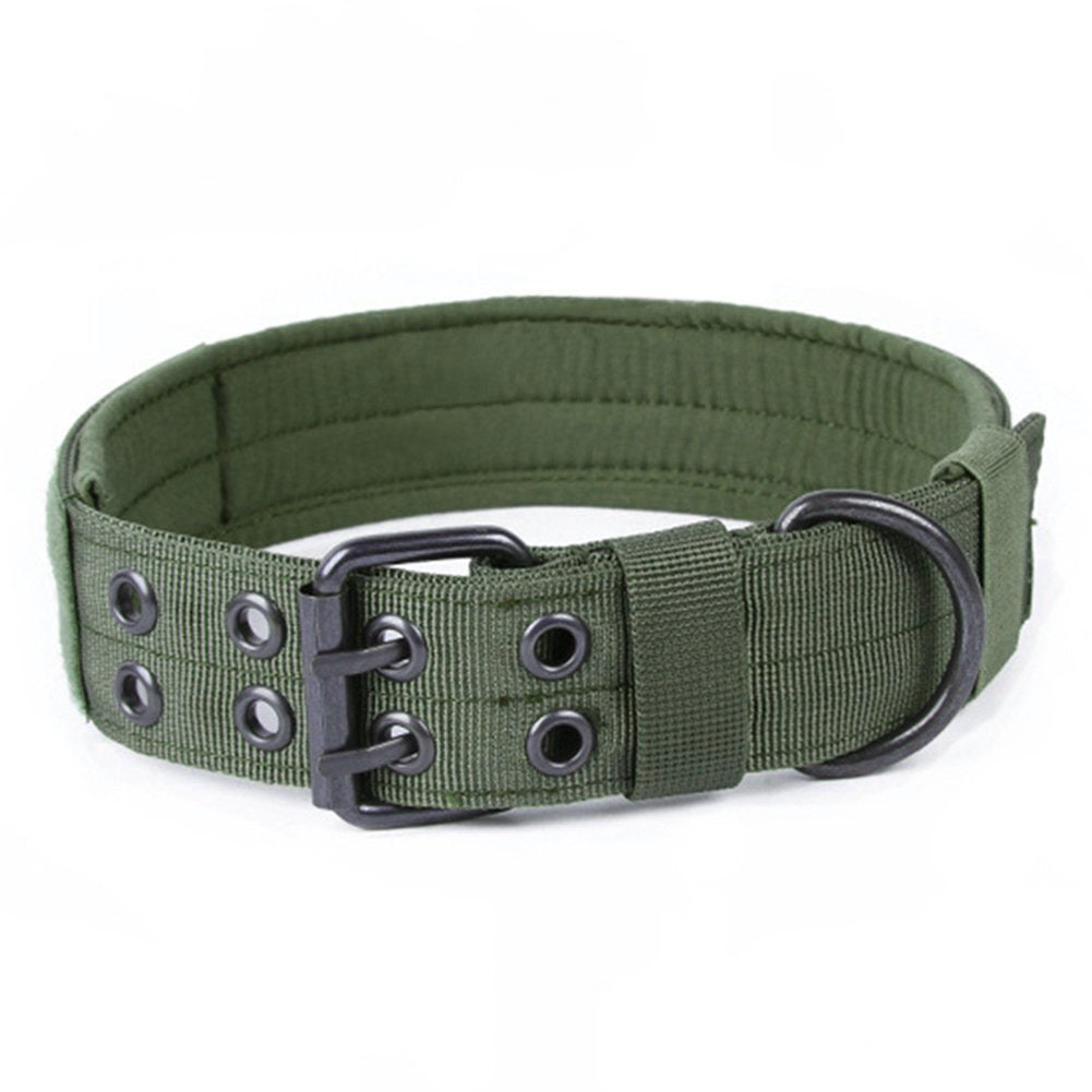 Nylon Dog Collar with Anti-Grind Leash