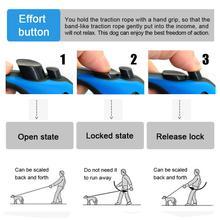 Automatic Retractable Pet Leash