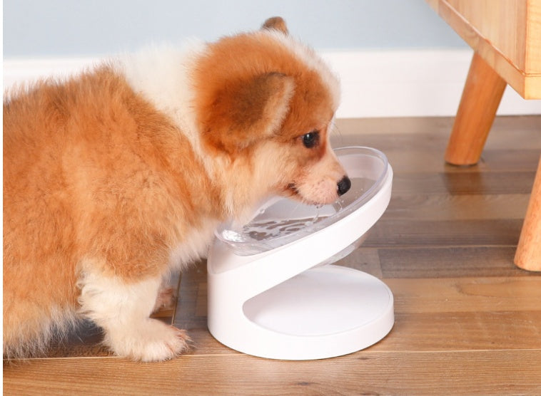 Ergonomic Pet Food Bowl