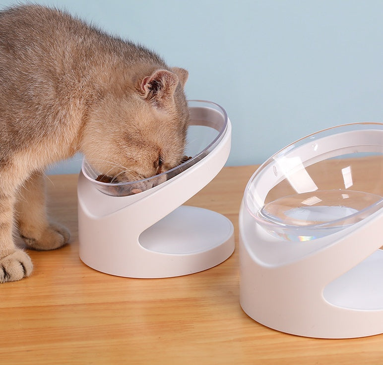 Ergonomic Pet Food Bowl
