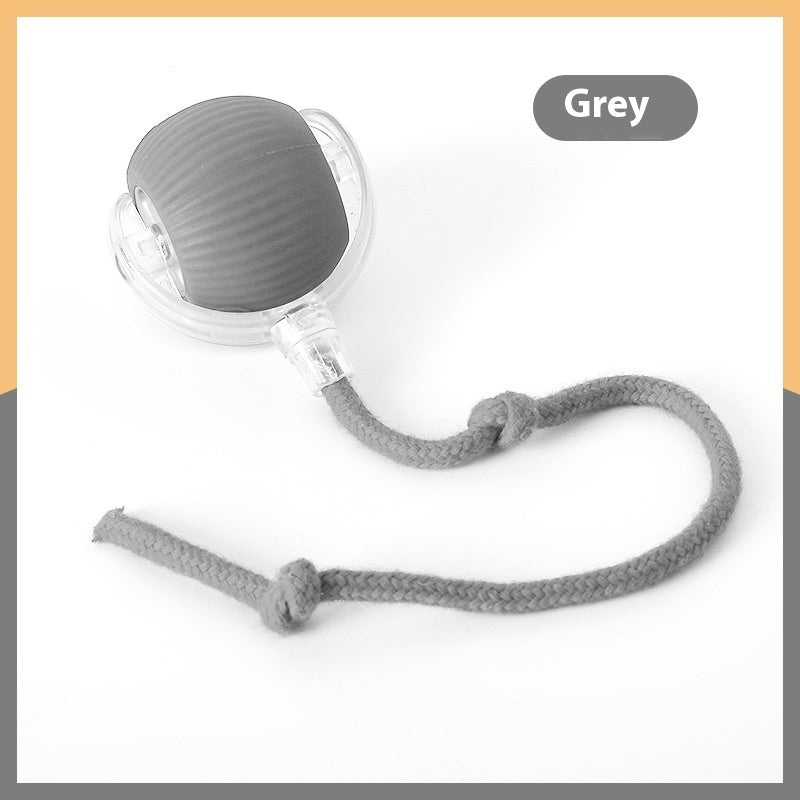 Interactive Rolling Pet Toy Ball
