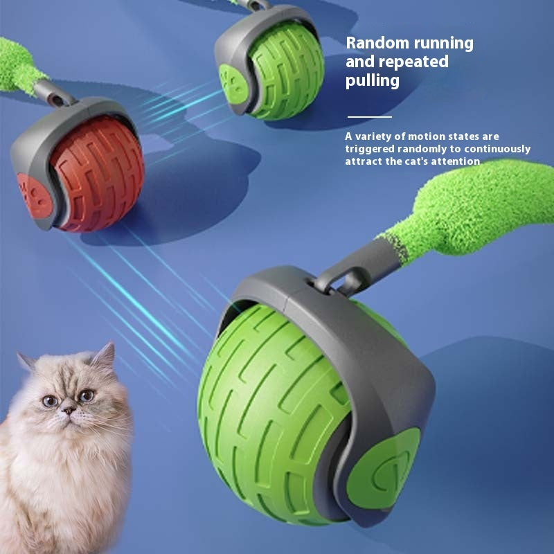 Rechargeable Pet Toy Ball
