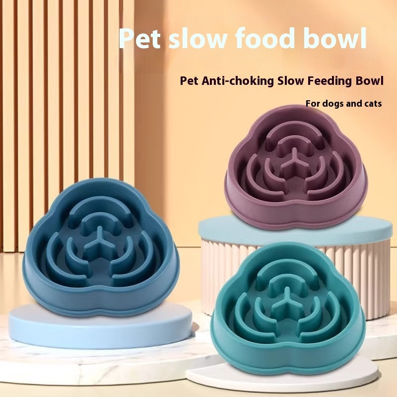 Pet Non-Slip Slow Feeder Bowl