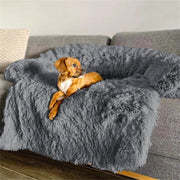 Furry Pet Bet