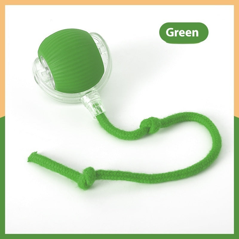 Interactive Rolling Pet Toy Ball