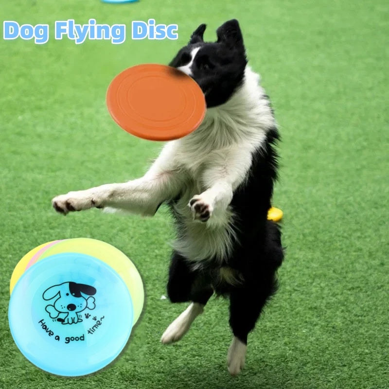 Dog Flying Disc Toy